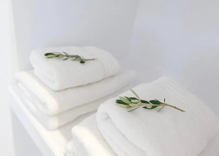 Aparthotel Alexander 4*